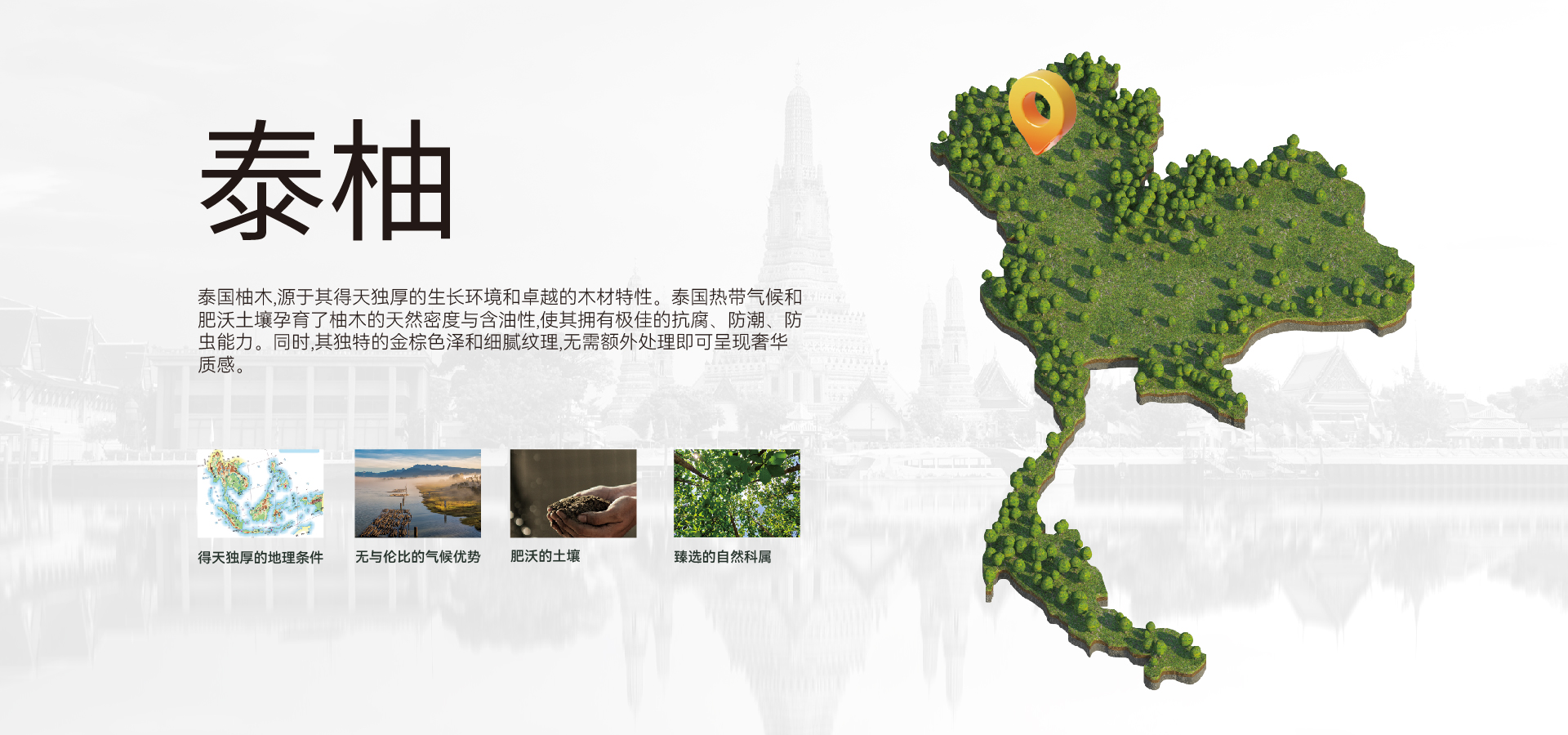 山東德福涂料有限公司